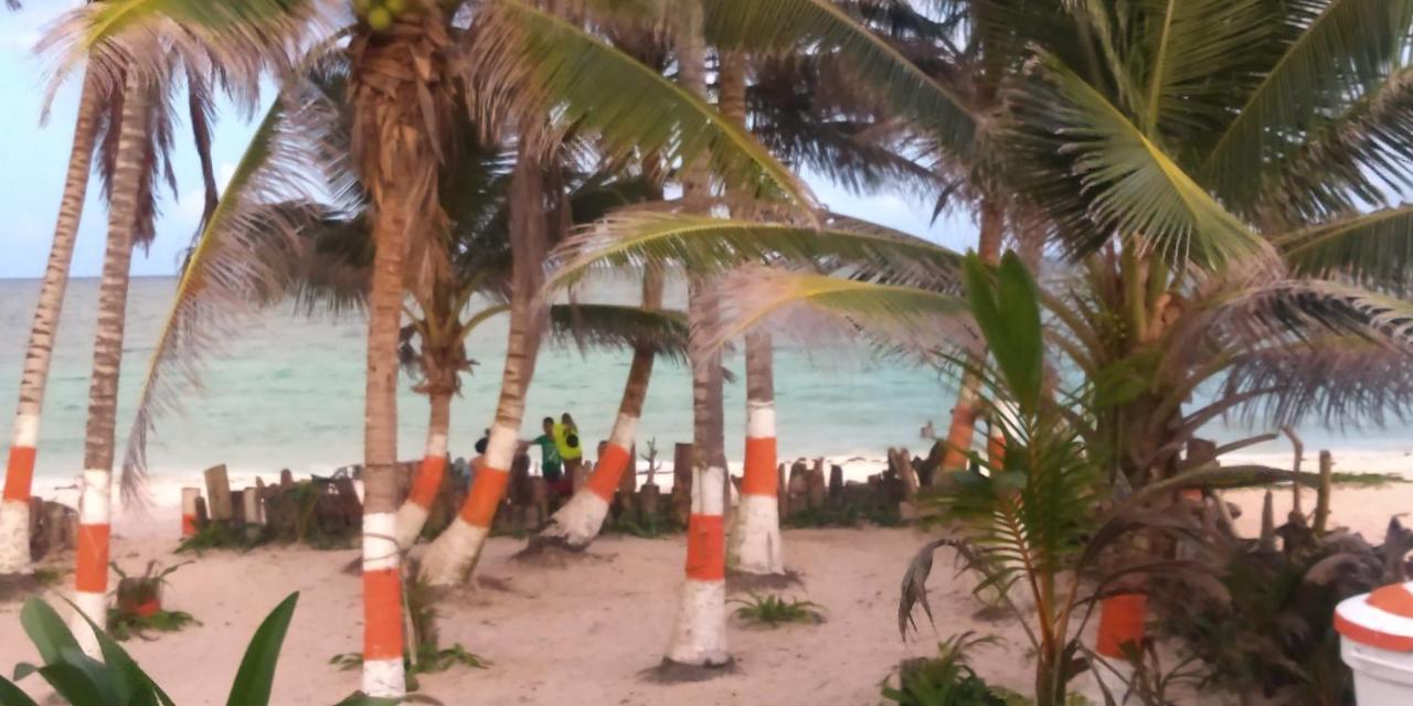 San Andrés Sunny Beach Apartments מראה חיצוני תמונה