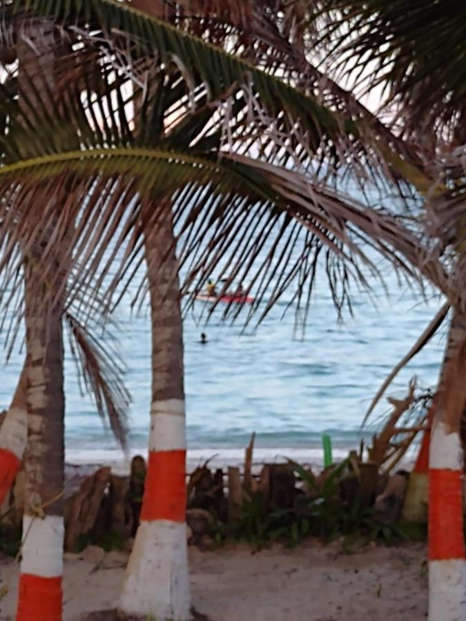San Andrés Sunny Beach Apartments מראה חיצוני תמונה