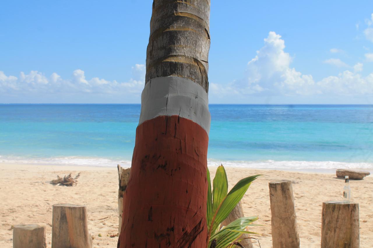 San Andrés Sunny Beach Apartments מראה חיצוני תמונה