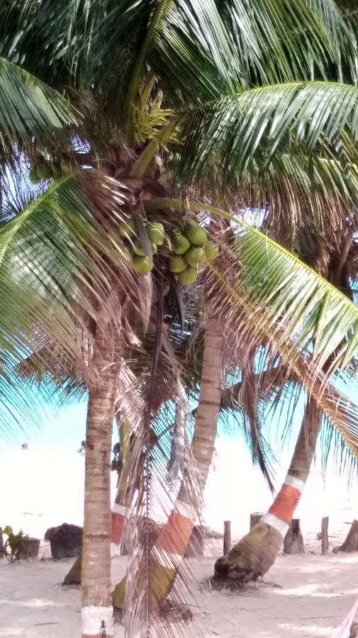 San Andrés Sunny Beach Apartments מראה חיצוני תמונה